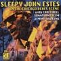 On the Chicago Blues Scene (Electric Sleep)