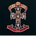 Appetite For Destruction