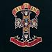 Search : Appetite for Destruction [Vinyl]