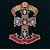 Appetite for Destruction [12 inch Analog]