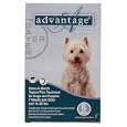 6 MONTH Advantage Flea Control Teal: For Dogs 11-20 lbs.