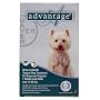 6 MONTH Advantage Teal: For Dogs 11-20 lbs.