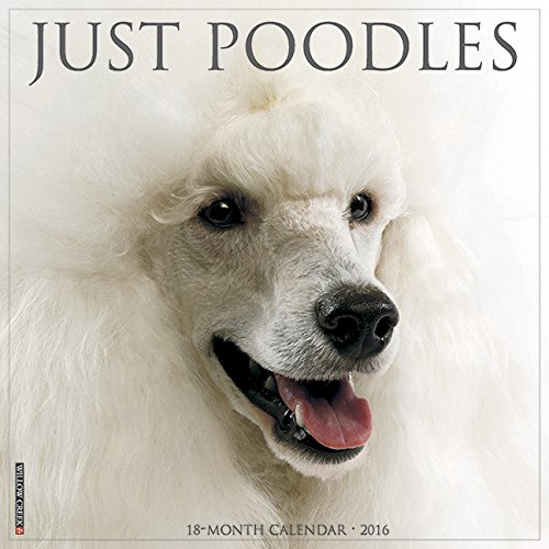 2016 Just Poodles Wall Calendar