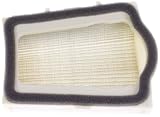 Produkt-Bild: Noname 2081239 Luftfilter XV 750/1000 T. Vergleichsnr: 42X-14451-00