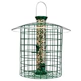 Droll Yankee SDC Green  Wild Bird Feeder with Domed Cage
