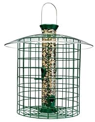 Droll Yankee SDC Green  Wild Bird Feeder with Domed Cage