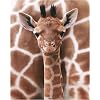 Paper african baby giraffe skin pattern 20 inches x 16 inches (50 x 40cm) mini poster