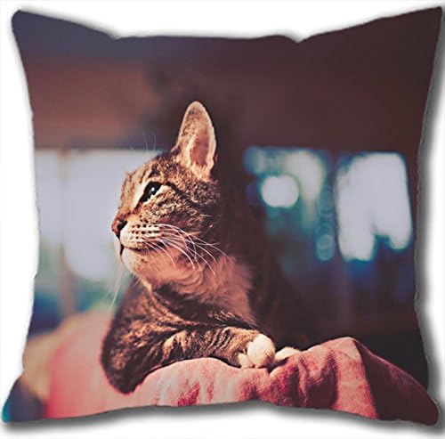 Cute Cat Wallpaper , Polyester Throw Pillow Case in 40*40CM