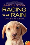 Racing in the Rain