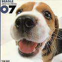 Beagle 2007 Calendar (Artlist Collection: The Dog)