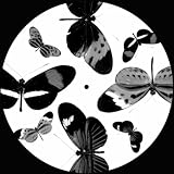 Heavy Baby (Luca Lozano's Black & White Remix)