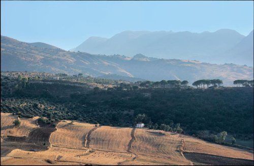 Cover image : Andalucia 2009.