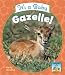Search : It's a Baby Gazelle! (Baby African Animals)