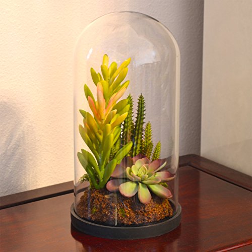 Modern glass dome bell jar design artificial succulent plant tabl…