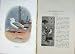 1901 Swaysland Wild Birds Herring Gull Thorburn Colour