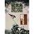 ������:�n����36���� [DVD]