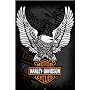 Empire - 327819 Harley Davidson - Aigle - Poster -&hellip de Empire Merchandising GmbH