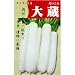 大蔵大根
