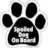 Imagine This Paw Car Magnet, Spoiled Dog on Board, 5-1/2-Inch by 5-1/2-Inch