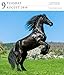 Horse Page-A-Day Gallery Calendar 2016