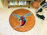 Delaware State Basketball Rug
