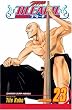 Bleach, Vol. 23