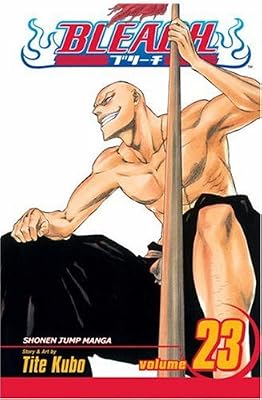 Bleach: v. 23 (Bleach) (Bleach (Paperback))