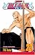 Bleach: v. 23 (Bleach) (Bleach (Paperback))
