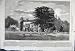 1861 Madingley Hall Prince Wales Cambridge University