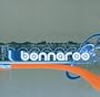 Bonnaroo Music Festival 2003