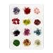 MASH Nail Art Real Dried Flower Kit Set