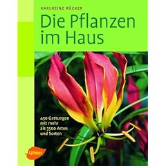 Die Pflanzen im Haus