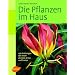 Die Pflanzen im Haus