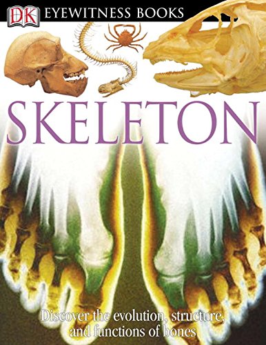 DK Eyewitness Books: Skeleton