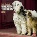 Wheaten Terriers, Soft Coated 2010 Square Wall