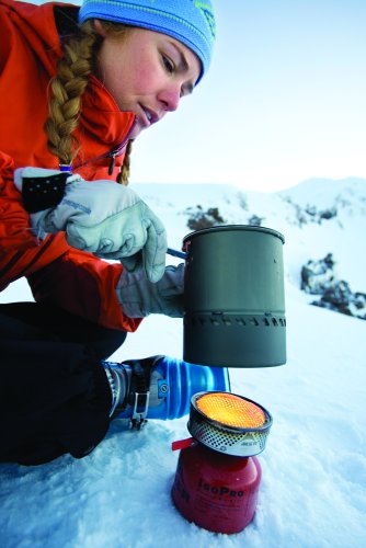 Msr Reactor Stove