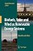 Biofuels, Solar and Wind as Renewable Energy Systems: Benefits and Risks