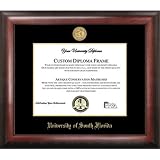 University of South Florida Gold Embossed Diploma Frame
