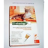 6 MONTH Advantage Orange for cats under 9 lbs.