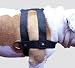 Nylon Dog Harness Large. Fits Girth 29"-35". 1.4" Wide Straps, Black