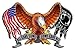 All Gave Some Some Gave All Decal 5.5