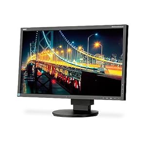 Amazon.com: NEC Monitor EA244UHD-BK 24