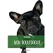 Mon Bouledogue : L'�duquer, le dresser, le soigner, l'aimer