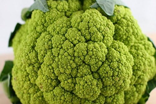 BroccoFlower 50 Seeds Low CARB!
