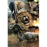 (24x36) African Big Five (Elephant, Leopard, Lion, African Buffalo, Rhinoceros) Art Poster Print