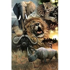African Big Five (Elephant, Leopard, Lion, African Buffalo, Rhinoceros) Art Poster Print - 61x91 cm
