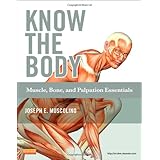know the body muscle bone and palpation essentials 1e