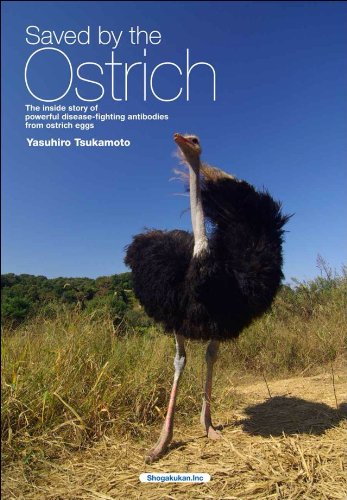Saved by the Ostrich
