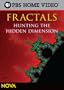 NOVA: Fractals - Hunting the Hidden Dimension