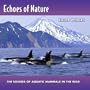 Echoes Of Nature: Killer Whales